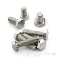 ສະແຕນເລດ screw hexagon screw